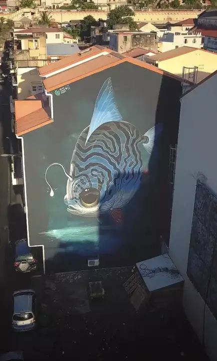 Festival art mural en Martinique | street art à Fort-de-France